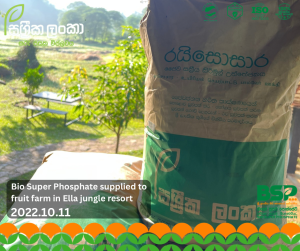alt="Sassrika Lanka Bio Super Phosphate BSP used in fruit farm at Ella jungle resort showing soil health improvement and sustainable agriculture application in Sri Lanka"