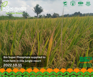 alt="Sassrika Lanka team participating in Yala 2023 harvest analysis program by Department of Census and Statistics discussing Bio Super Phosphate soil health and fertilizer efficiency in Sri Lanka"