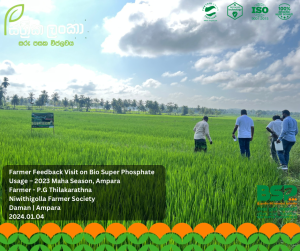 alt="Sassrika Lanka team with farmer P G Thilakarathna in Damana Ampara evaluating Bio Super Phosphate BSP performance soil health and crop results during Maha 2023 season in Sri Lanka"