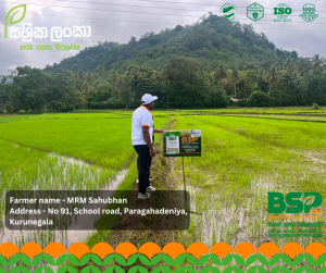 Sassrika Lanka , BSP , bio super phosphate , මඩ පොහොර , Sri Lanka agriculture , soil health , Made in sri lanka , sustainable agriculture , organic fertilizer Sri Lanka , fertilizer innovation , agriculture Sri Lanka , soil fertility improvement , phosphorus fertilizer , eco friendly fertilizer , climate smart agriculture , farmer productivity , reduce chemical fertilizer , smart farming , Sri Lanka agri technology , soil testing agriculture , crop yield improvement , Sri Lanka farmers , sustainable farming methods