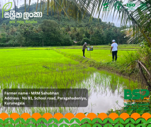 Sassrika Lanka , BSP , bio super phosphate , මඩ පොහොර , Sri Lanka agriculture , soil health , Made in sri lanka , sustainable agriculture , organic fertilizer Sri Lanka , fertilizer innovation , agriculture Sri Lanka , soil fertility improvement , phosphorus fertilizer , eco friendly fertilizer , climate smart agriculture , farmer productivity , reduce chemical fertilizer , smart farming , Sri Lanka agri technology , soil testing agriculture , crop yield improvement , Sri Lanka farmers , sustainable farming methods