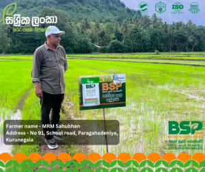 Sassrika Lanka , BSP , bio super phosphate , මඩ පොහොර , Sri Lanka agriculture , soil health , Made in sri lanka , sustainable agriculture , organic fertilizer Sri Lanka , fertilizer innovation , agriculture Sri Lanka , soil fertility improvement , phosphorus fertilizer , eco friendly fertilizer , climate smart agriculture , farmer productivity , reduce chemical fertilizer , smart farming , Sri Lanka agri technology , soil testing agriculture , crop yield improvement , Sri Lanka farmers , sustainable farming methods