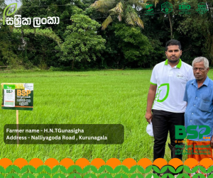 Sassrika Lanka , BSP , bio super phosphate , මඩ පොහොර , Sri Lanka agriculture , soil health , Made in sri lanka , sustainable agriculture , organic fertilizer Sri Lanka , fertilizer innovation , agriculture Sri Lanka , soil fertility improvement , phosphorus fertilizer , eco friendly fertilizer , climate smart agriculture , farmer productivity , reduce chemical fertilizer , smart farming , Sri Lanka agri technology , soil testing agriculture , crop yield improvement , Sri Lanka farmers , sustainable farming methods