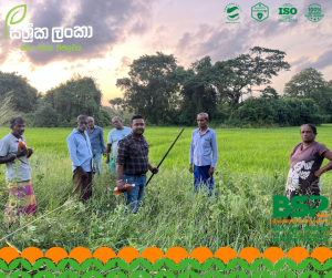 අනුරාධපුර, මීගලෑවෙන් ඇහෙන සශ්‍රීක ලංකා BSP පොහොරේ සැබෑ අත්දැකීම! 