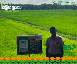 අනුරාධපුර, මීගලෑවෙන් ඇහෙන සශ්‍රීක ලංකා BSP පොහොරේ සැබෑ අත්දැකීම!