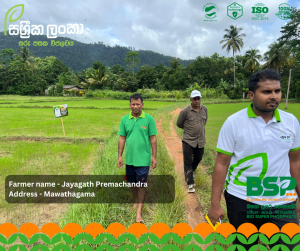 2019 සිට අද දක්වා: සශ්රීක ලංකා BSP සමඟින් මාවතගම ජයගත් ප්රේමචන්ද්ර මහතාගේ සැබෑ අත්දැකීම! 🌾