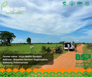 Sassrika Lanka , BSP , bio super phosphate , මඩ පොහොර , Sri Lanka agriculture , soil health , Made in sri lanka , sustainable agriculture , organic fertilizer Sri Lanka , fertilizer innovation , agriculture Sri Lanka , soil fertility improvement , phosphorus fertilizer , eco friendly fertilizer , climate smart agriculture , farmer productivity , reduce chemical fertilizer , smart farming , Sri Lanka agri technology , soil testing agriculture , crop yield improvement , Sri Lanka farmers , sustainable farming methods