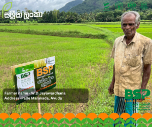 2026 දක්වා: සශ්‍රීක ලංකා BSP සමඟින් පල්ලේ මාරකඩ ජයගත් ජයවර්ධන මහතාගේ සැබෑ අත්දැකීම!