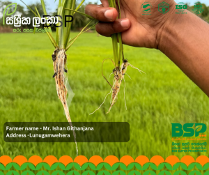 භූමියට දුන් නිවැරදි සත්කාරය: ලුණුගම්වෙහෙර "ඉෂාන් ගීතාංජන" මහතාගේ ජයග්‍රහණයේ කතාව!