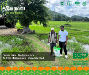 මුල් ශක්තිමත් නම් අස්වැන්න සරුයි!