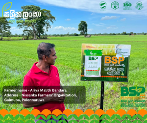 Sassrika Lanka , BSP , bio super phosphate , මඩ පොහොර , Sri Lanka agriculture , soil health , Made in sri lanka , sustainable agriculture , organic fertilizer Sri Lanka , fertilizer innovation , agriculture Sri Lanka , soil fertility improvement , phosphorus fertilizer , eco friendly fertilizer , climate smart agriculture , farmer productivity , reduce chemical fertilizer , smart farming , Sri Lanka agri technology , soil testing agriculture , crop yield improvement , Sri Lanka farmers , sustainable farming methods