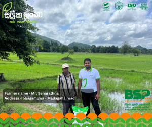 මුල් ශක්තිමත් නම් අස්වැන්න සරුයි!